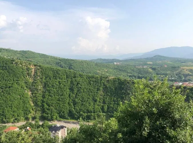Bujtina Vrenezi